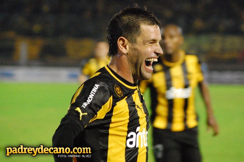 campeon campeon