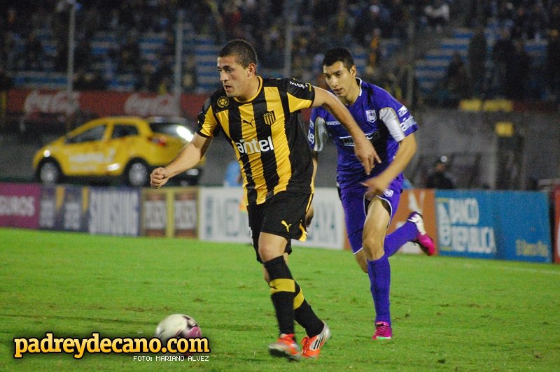 campeon campeon