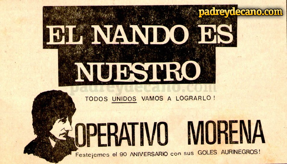 campa%C3%B1a_morena.jpg