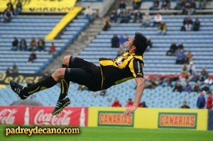 Olivera volando