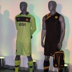Camiseta Nueva 2013