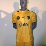 Camiseta Nueva 2013