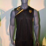Camiseta Nueva 2013