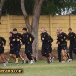 Aromos Abril 2013