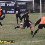 Gabriel Leyes - Los Aromos
