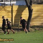 Aromos