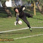 Lerda