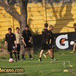 Los Aromos