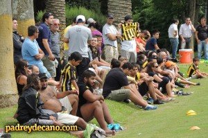 Aromos Febrero
