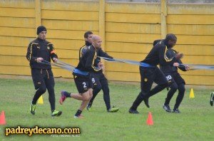 alonso-aromos-31