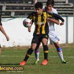 clasicos-formativas-viera (4)
