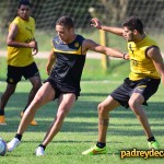aromos-2015-penarol-02