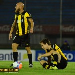 Hermanos-Novick-penarol-tanque-clausura-2015-mariano-alvez-22