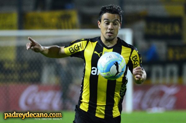 andres-rodales